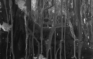 Thumbnail Placeholder